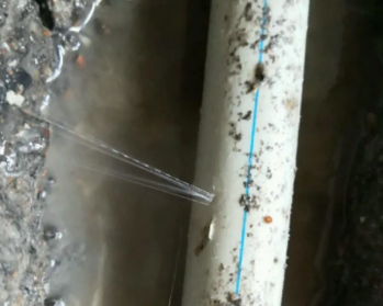 河津卫生间测漏水多少钱
